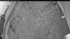 Web Cam Image - Wed, 05/13/2026 4:39am PDT