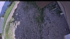 Web Cam Image - Tue, 06/23/2026 1:19pm PDT