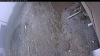 Web Cam Image - Wed, 05/06/2026 1:49pm PDT