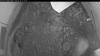 Web Cam Image - Mon, 06/29/2026 7:59pm PDT