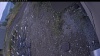 Web Cam Image - Sun, 10/12/2025 1:49pm PDT