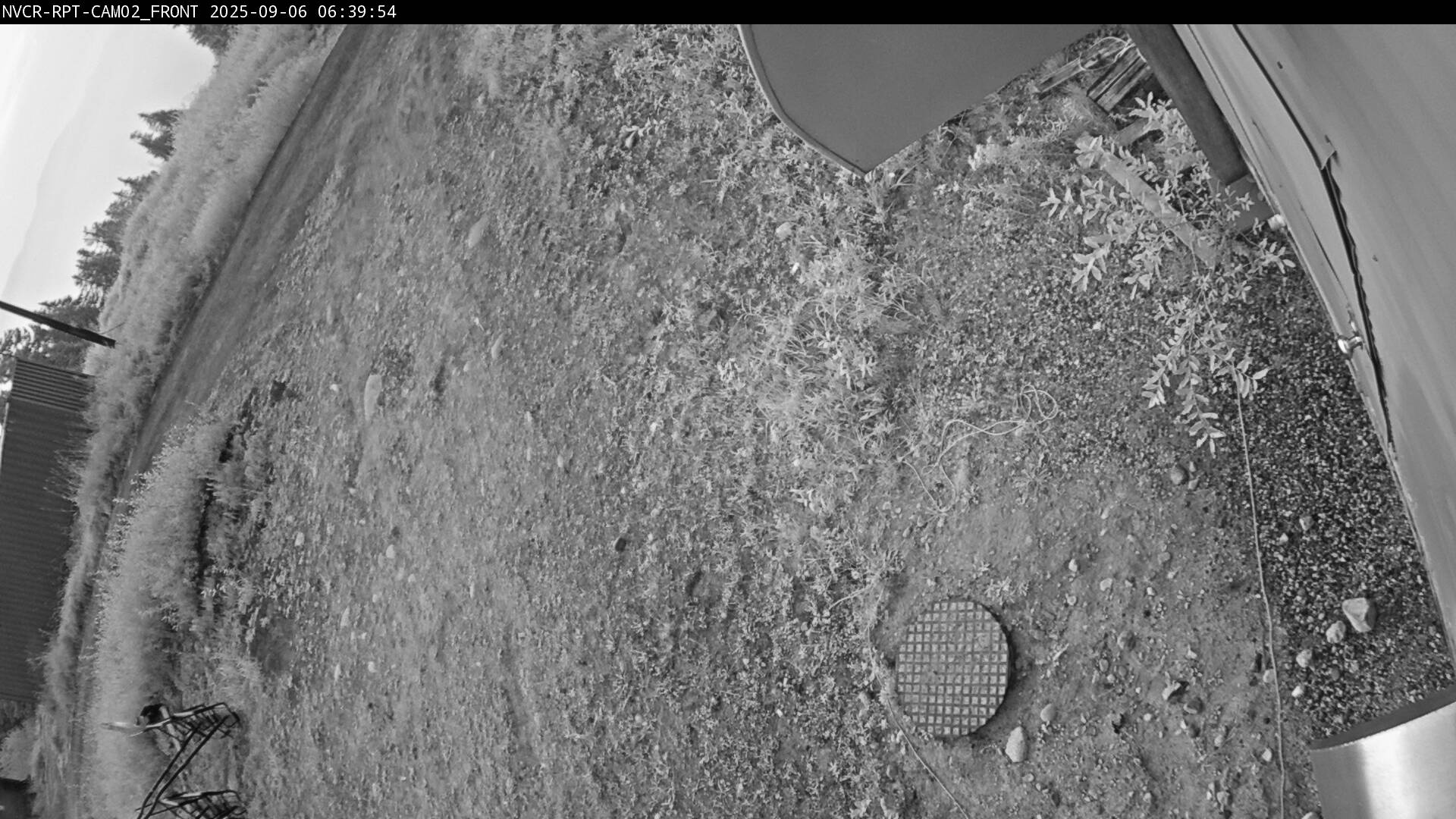 Web Cam History Image - 304
