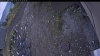 Web Cam Image - Sun, 10/12/2025 1:44pm PDT