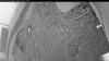 Web Cam Image - Fri, 05/15/2026 4:49am PDT