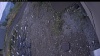 Web Cam Image - Sun, 10/12/2025 1:39pm PDT