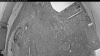 Web Cam Image - Sat, 05/16/2026 8:09pm PDT