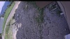 Web Cam Image - Tue, 06/23/2026 12:59pm PDT