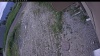 Web Cam Image - Thu, 06/25/2026 2:19pm PDT