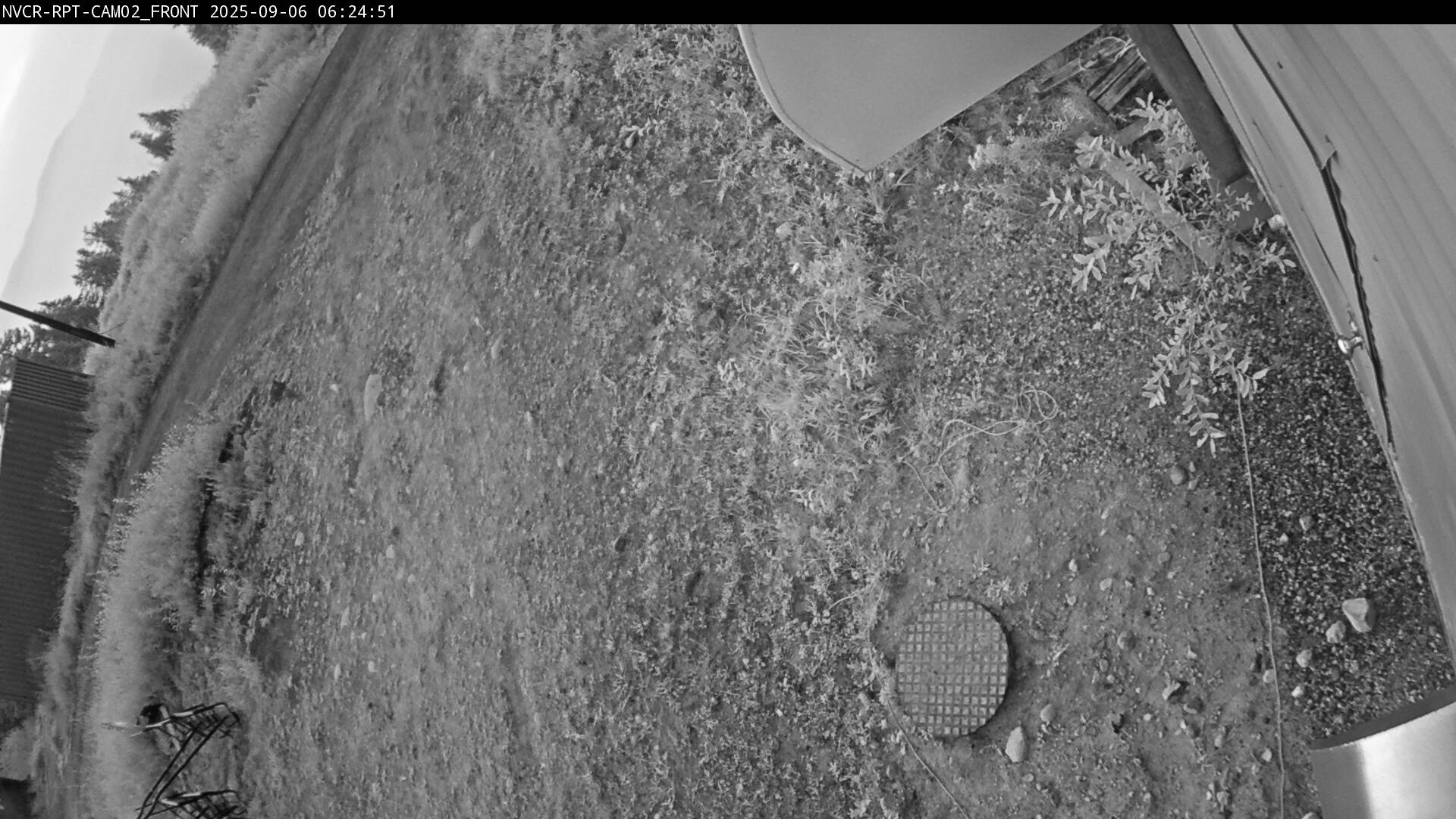 Web Cam History Image - 306