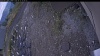 Web Cam Image - Sun, 10/12/2025 1:29pm PDT