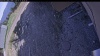 Web Cam Image - Mon, 05/11/2026 2:49pm PDT