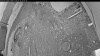 Web Cam Image - Sat, 05/16/2026 7:59pm PDT