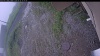 Web Cam Image - Fri, 06/26/2026 2:34pm PDT
