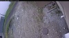 Web Cam Image - Wed, 05/13/2026 11:39am PDT