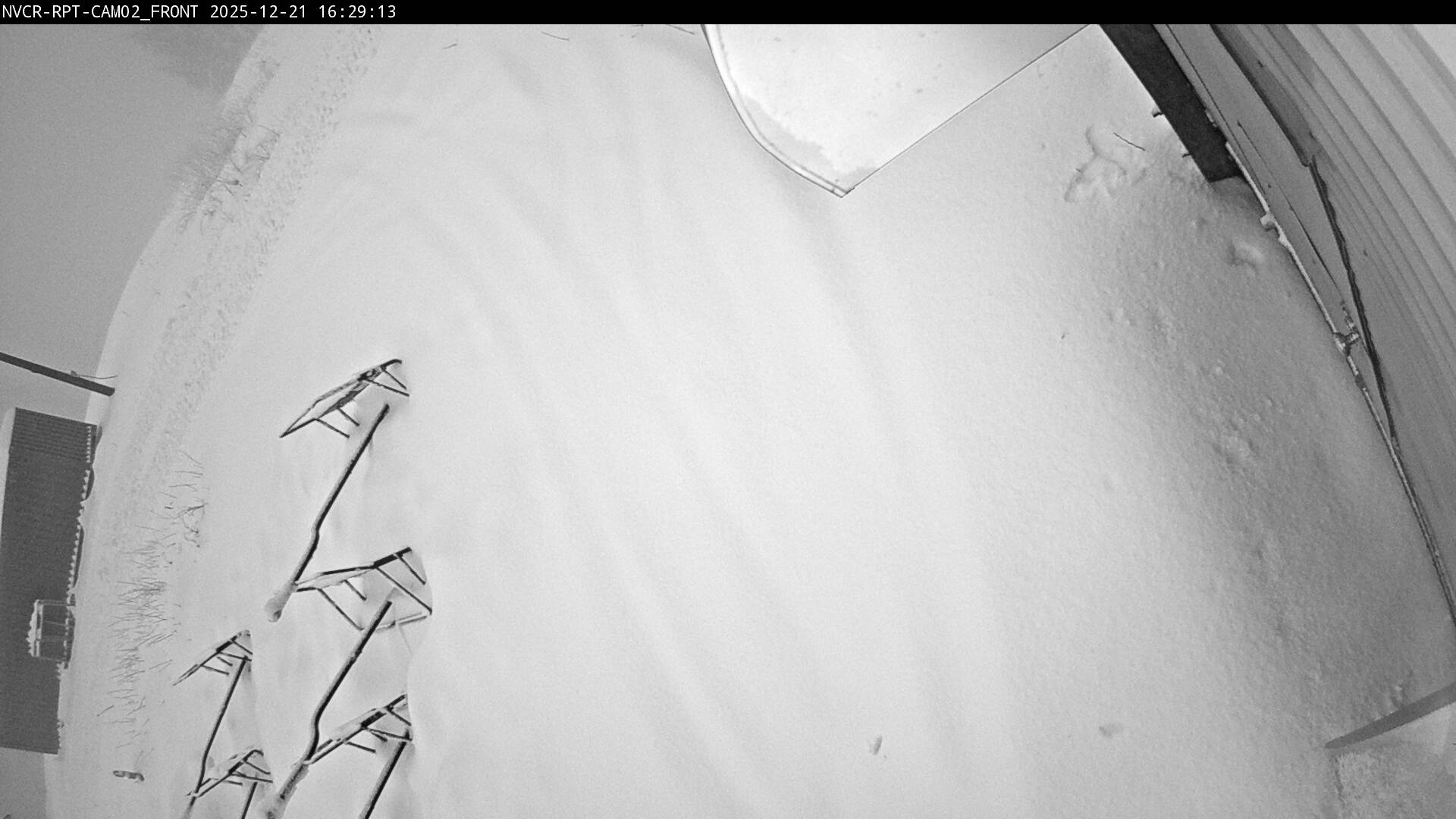 Web Cam History Image - 310