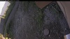 Web Cam Image - Tue, 09/16/2025 3:29pm PDT