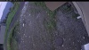 Web Cam Image - Sun, 06/07/2026 8:09pm PDT