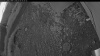 Web Cam Image - Sat, 07/04/2026 2:49am PDT