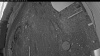 Web Cam Image - Fri, 05/01/2026 4:29am PDT