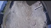 Web Cam Image - Mon, 05/04/2026 11:19am PDT