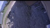 Web Cam Image - Mon, 05/11/2026 2:34pm PDT