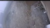 Web Cam Image - Wed, 05/06/2026 12:59pm PDT