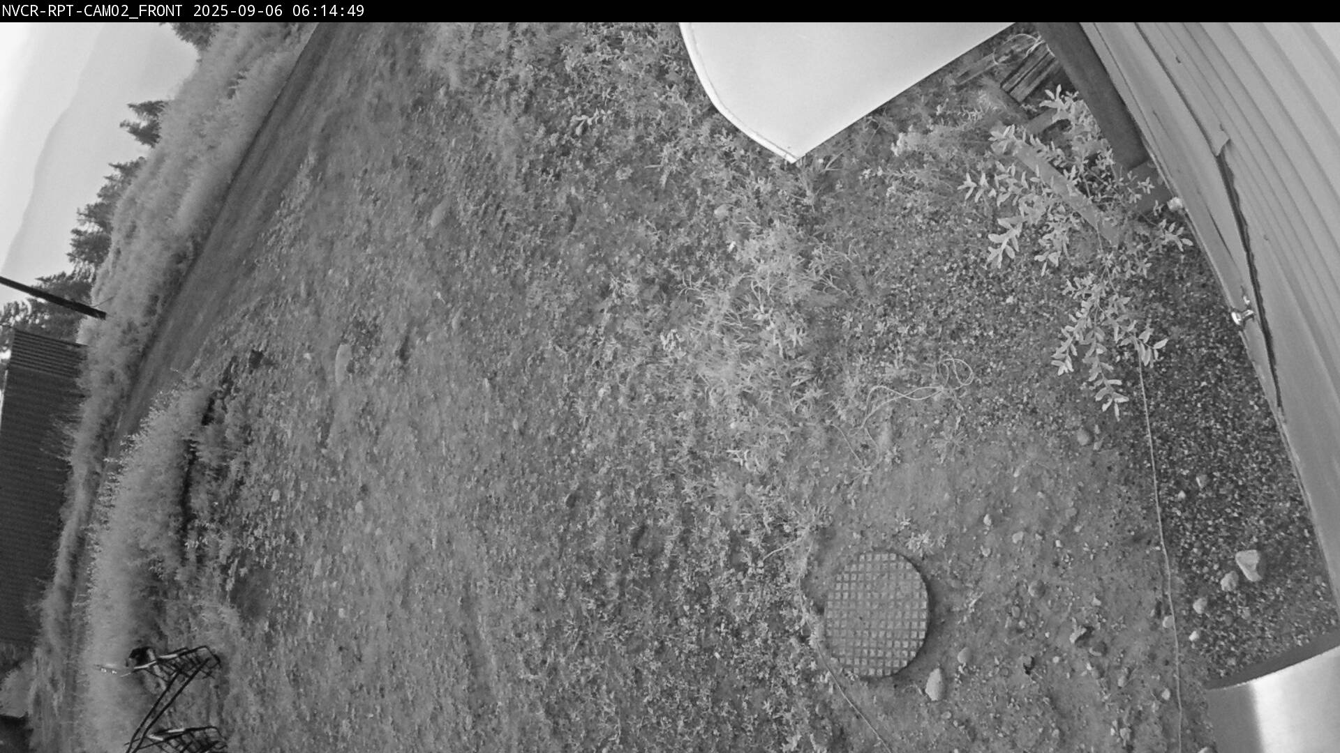 Web Cam History Image - 313