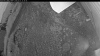 Web Cam Image - Wed, 07/01/2026 8:44pm PDT