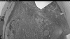 Web Cam Image - Wed, 07/01/2026 8:39pm PDT