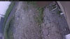 Web Cam Image - Wed, 06/17/2026 4:49am PDT