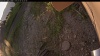 Web Cam Image - Mon, 07/07/2025 10:14pm PDT