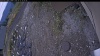 Web Cam Image - Sun, 10/12/2025 12:29pm PDT