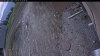 Web Cam Image - Sun, 05/10/2026 1:34pm PDT