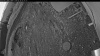 Web Cam Image - Wed, 05/20/2026 4:19am PDT