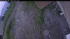 Web Cam Image - Wed, 07/01/2026 8:14pm PDT