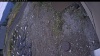 Web Cam Image - Sun, 10/12/2025 12:24pm PDT