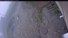 Web Cam Image - Wed, 05/13/2026 10:44am PDT