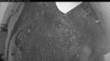 Web Cam Image - Thu, 06/11/2026 8:14pm PDT