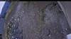 Web Cam Image - Sun, 10/12/2025 12:19pm PDT