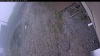 Web Cam Image - Wed, 05/13/2026 10:29am PDT