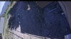 Web Cam Image - Fri, 05/22/2026 4:04pm PDT