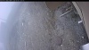 Web Cam Image - Wed, 05/06/2026 11:54am PDT