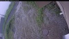 Web Cam Image - Fri, 06/26/2026 1:09pm PDT