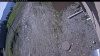 Web Cam Image - Fri, 05/22/2026 8:34am PDT
