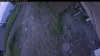 Web Cam Image - Wed, 07/01/2026 7:34pm PDT