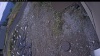 Web Cam Image - Sun, 10/12/2025 11:45am PDT