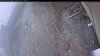 Web Cam Image - Wed, 05/06/2026 11:39am PDT