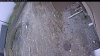 Web Cam Image - Thu, 05/07/2026 12:14pm PDT