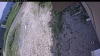 Web Cam Image - Tue, 06/23/2026 10:59am PDT