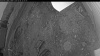 Web Cam Image - Thu, 03/20/2025 10:34am PDT